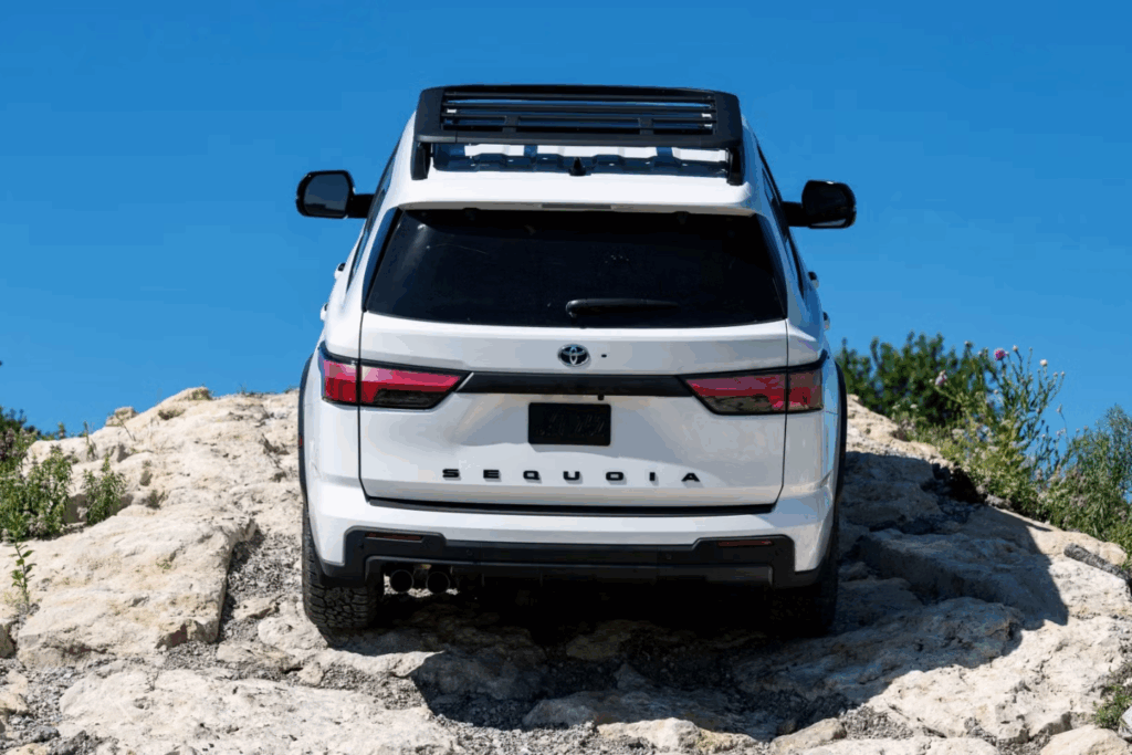 Sell Unused Vehicle in Japan: What Vehicle Types Are Accepted by Tohomotors?